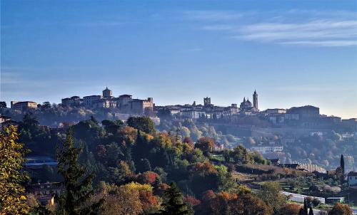 Il Sole - image 13