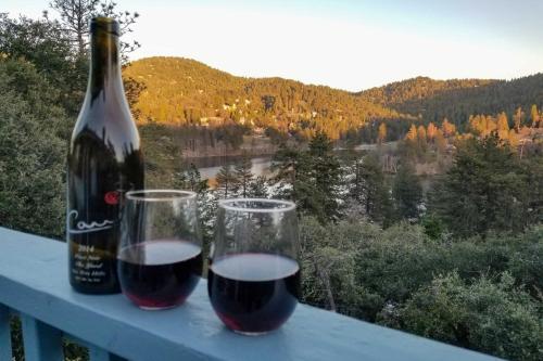 The Atomic Squirrel Lodge Lake Gregory Getaway! - image 14