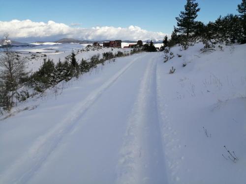 Pahuljica - image 14