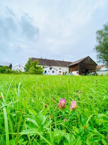 Bauernhaus am Sallingbach