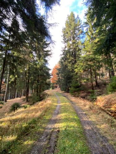 A környék, Apartman Jelen in Destne V Orlickych Horach