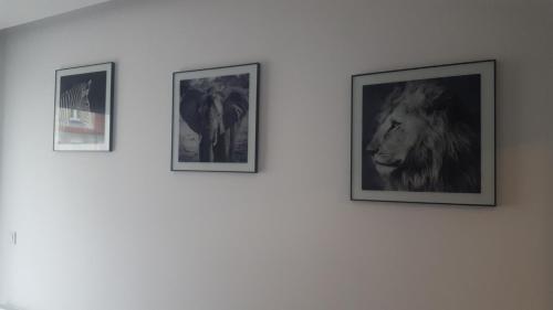 Apartament Skarbowa 2