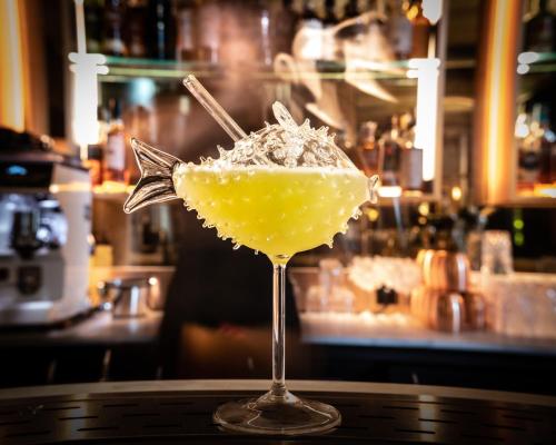 Château de la Gaude - image 2