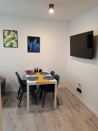 Apartament na Zakręcie, Sklářská Poruba (fotografie 6)