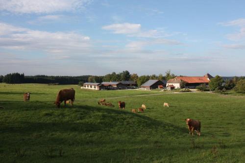 Gut Grasleiten - image 4