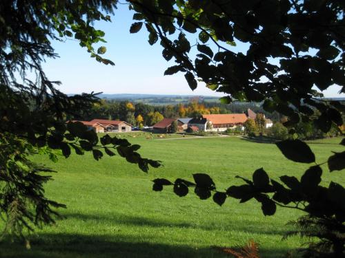 Gut Grasleiten - image 7
