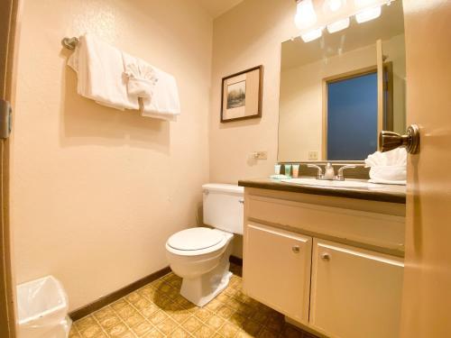 Chamonix #23 condo - image 7