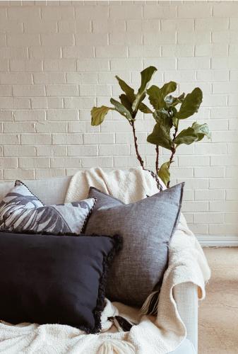 The Loft - beautiful central Barossa apartment, Tanunda (foto 5)