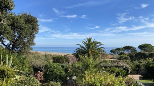 Mini villa dans domaine avec vue mer et accès plage gîte à louer Olmucciu
