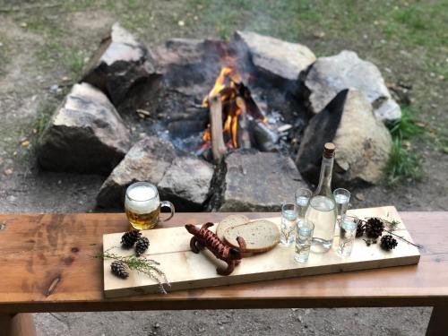 Chata Třeboňsko - rybník Dvořiště - Smržov (Chata Trebonsko - rybnik Dvoriste - Smrzov) in Lišov