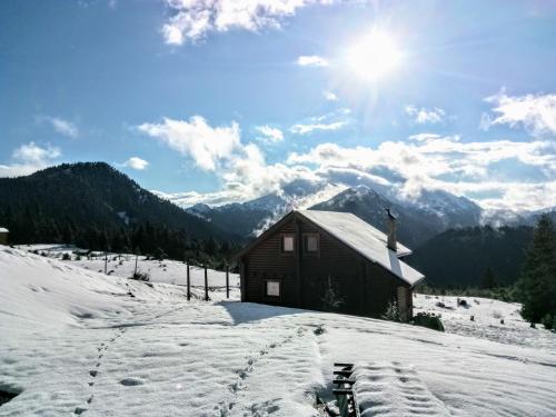 Katafygio Chalet, Krikello