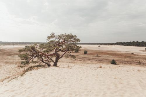 NOYR. tiny house NOYR. tiny house