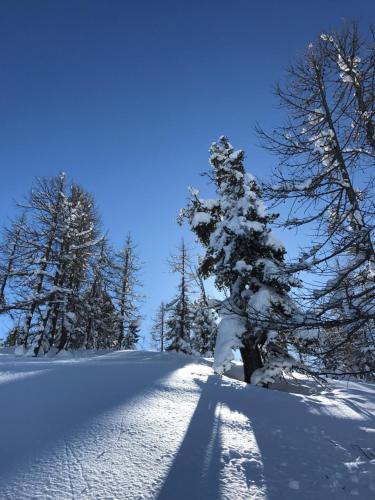 L'Alpi Cozie rénové en 2020 pied des pistes et spa - image 3