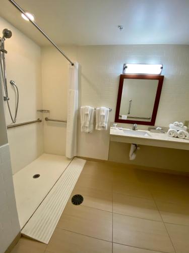 King Suite with Roll-in-Shower - Accessible/Non-Smoking