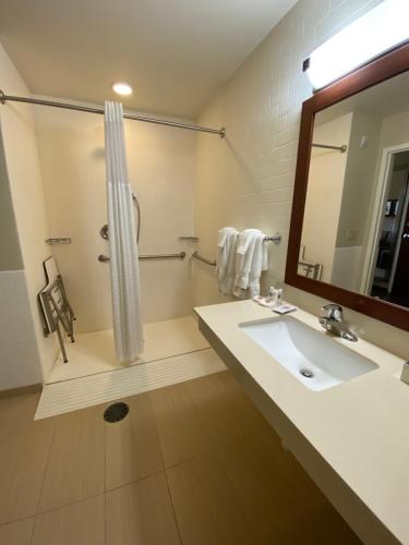 Comfort Suites Manheim - Lancaster - image 7