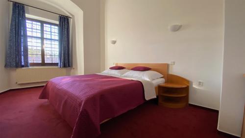 HOTEL CHATEAU ZAMEK CEJKOVICE obrázok