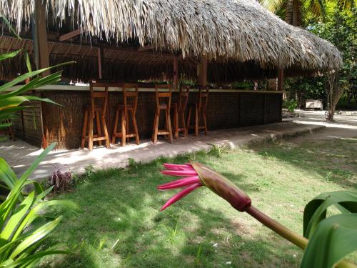 Eco Hotel Las Palmeras in Rosario Islands