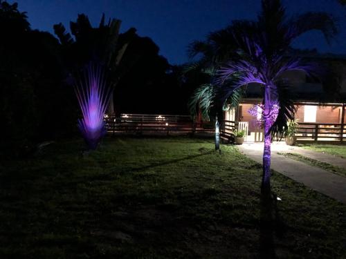 Taman, VILLA LA CHAUMIERE Au calme et sans vis à vis (VILLA LA CHAUMIERE Au calme et sans vis a vis) in Matoury