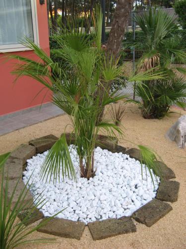 Hotel Villa Maria - image 4