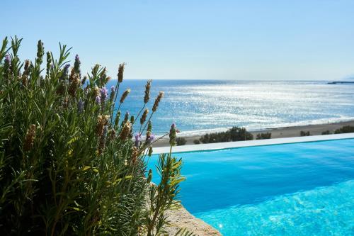 Enorme Santanna Beach - image 7