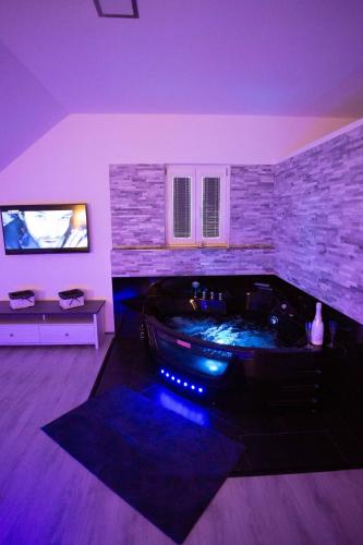 apartmány U Solišů - image 7
