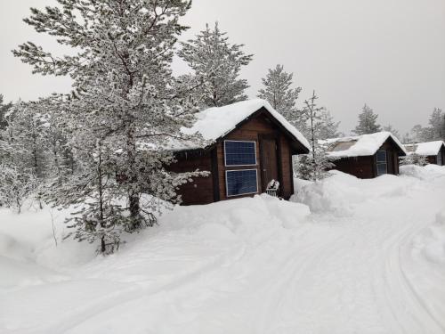 Polar Lights Lodge - Chalet - Sirkka