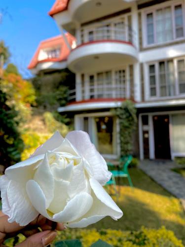 Marigold Sarovar Portico Shimla