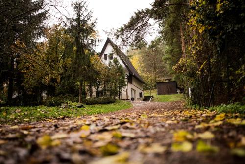  Fenyves út 1, Pension in Esztergom bei Esztergom