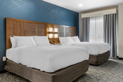 1 queen bed