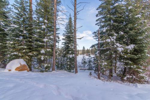 Fickes by Tahoe Truckee Vacation Properties - image 7