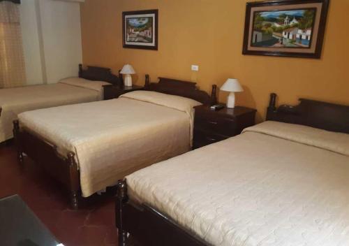 雅典卫城玛雅酒店