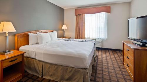 Best Western Inn And Suites-Midway Airport