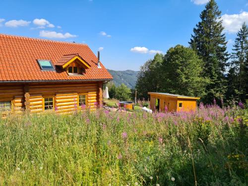 Luxus-Ferienhaus Blockhaus Chalet Nr 1 Toplage am Feldberg mit Sauna, Outdoor-Hottub, Kamin auf 1300m üM
