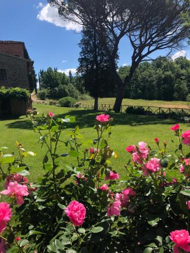 Salceta, a Tuscany Country House