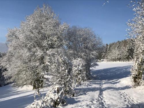 Villa Im Bongert - Tor zum Nationalpark Eifel