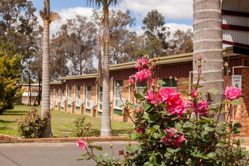 Manjimup Motor Inn