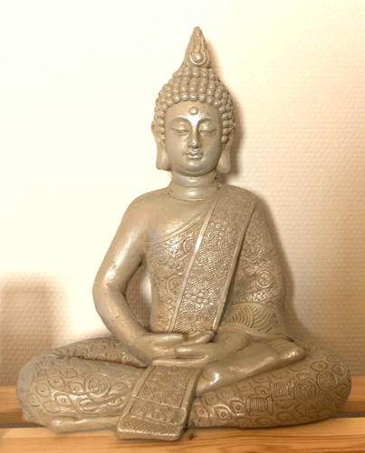Vert Autre Chose ZEN - image 3