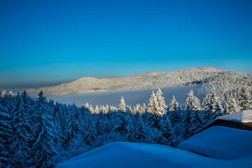 Sunny Hills Ski&Wellness - image 8