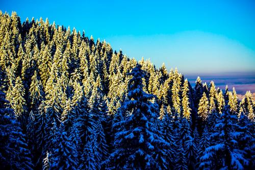 Sunny Hills Ski&Wellness - image 6