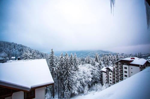 Sunny Hills Ski&Wellness - image 3