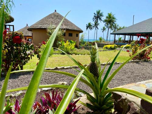 Lemon Beach Resort