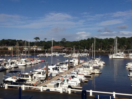 Studio Cap Sud Capbreton proche plage in La Savane