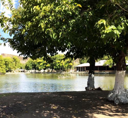 View, Roosevelt Resort Park in Roosevelt (AZ)