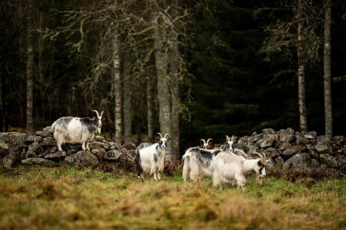 Smålandstorpet