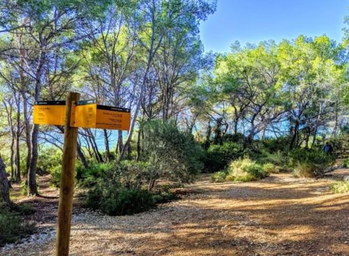 Apartamentos Cala Azul La Móra - image 5