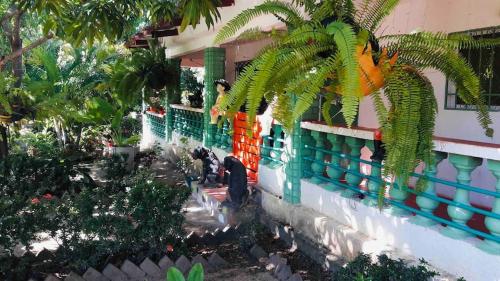 Finca Sunshine Garden Santa Marta