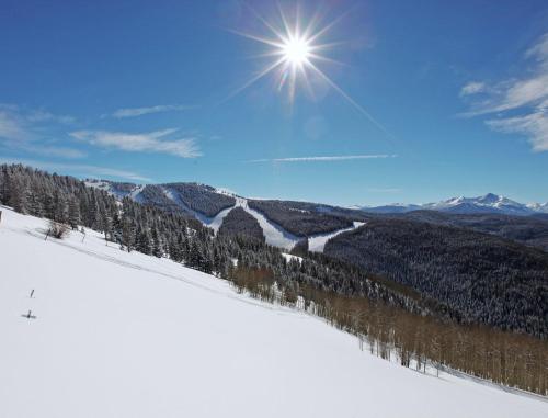 Resort Style Condos with Contemporary Mountain Elegance - main image