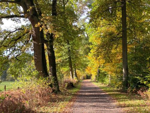 威斯曼维明图哥公寓酒店