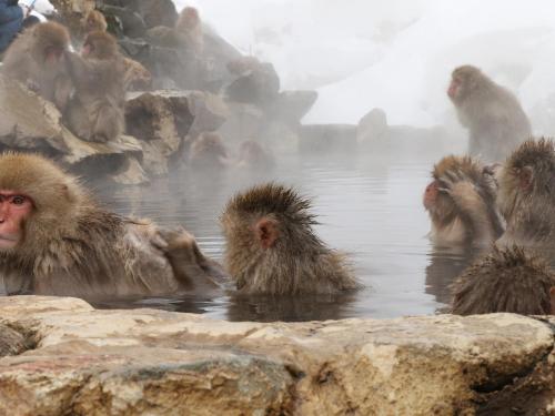 まるか旅館