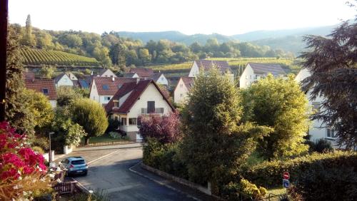 Marcia Donatti - A l'Ombre des Coteaux Sao Paulo - Chambre d'hôtes - Kaysersberg-Vignoble